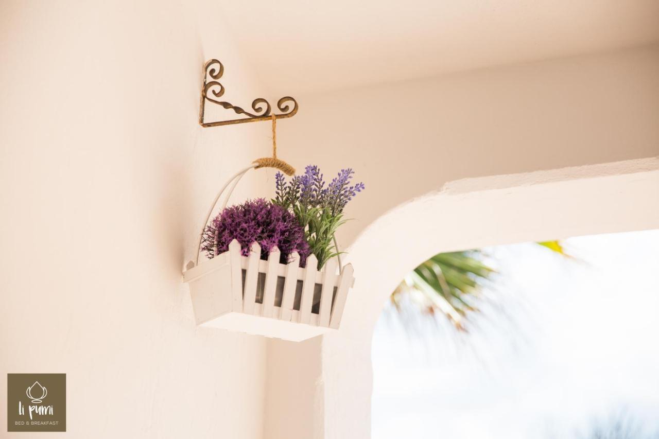 Li Pumi Bed & Breakfast Алисте Екстериор снимка